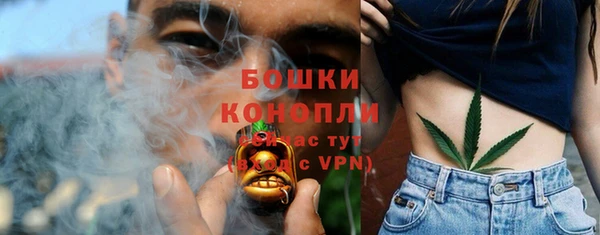 ПСИЛОЦИБИНОВЫЕ ГРИБЫ Арсеньев