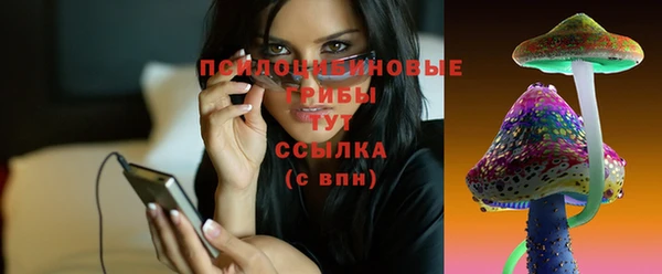 ПСИЛОЦИБИНОВЫЕ ГРИБЫ Арсеньев