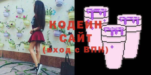 ПСИЛОЦИБИНОВЫЕ ГРИБЫ Арсеньев