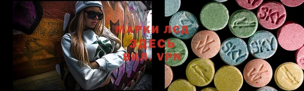 ПСИЛОЦИБИНОВЫЕ ГРИБЫ Арсеньев
